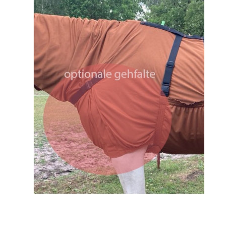 Gehfalte