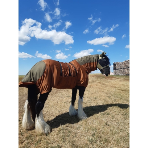 Memo, Shire Horse